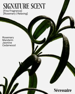 Rosemary Conditioner