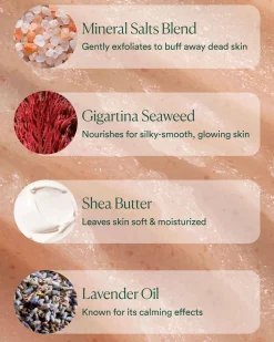 Salts of the Earth Body Scrub