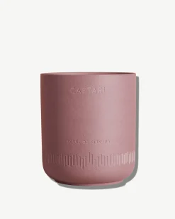 Scent of Nirvana