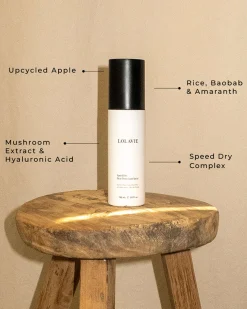 Speed Dry Heat Protectant Spray