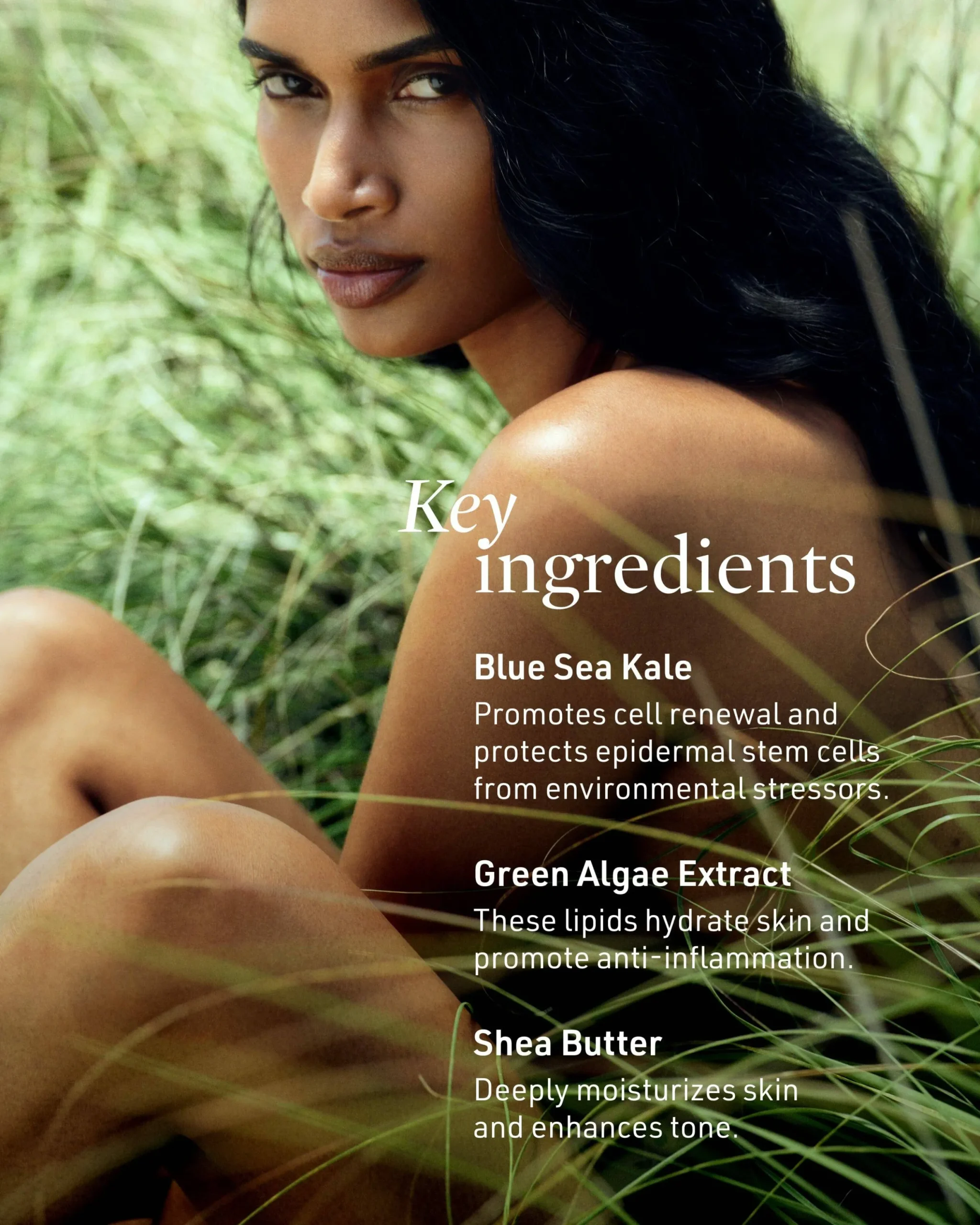 Submerge Green Algae Body Cream