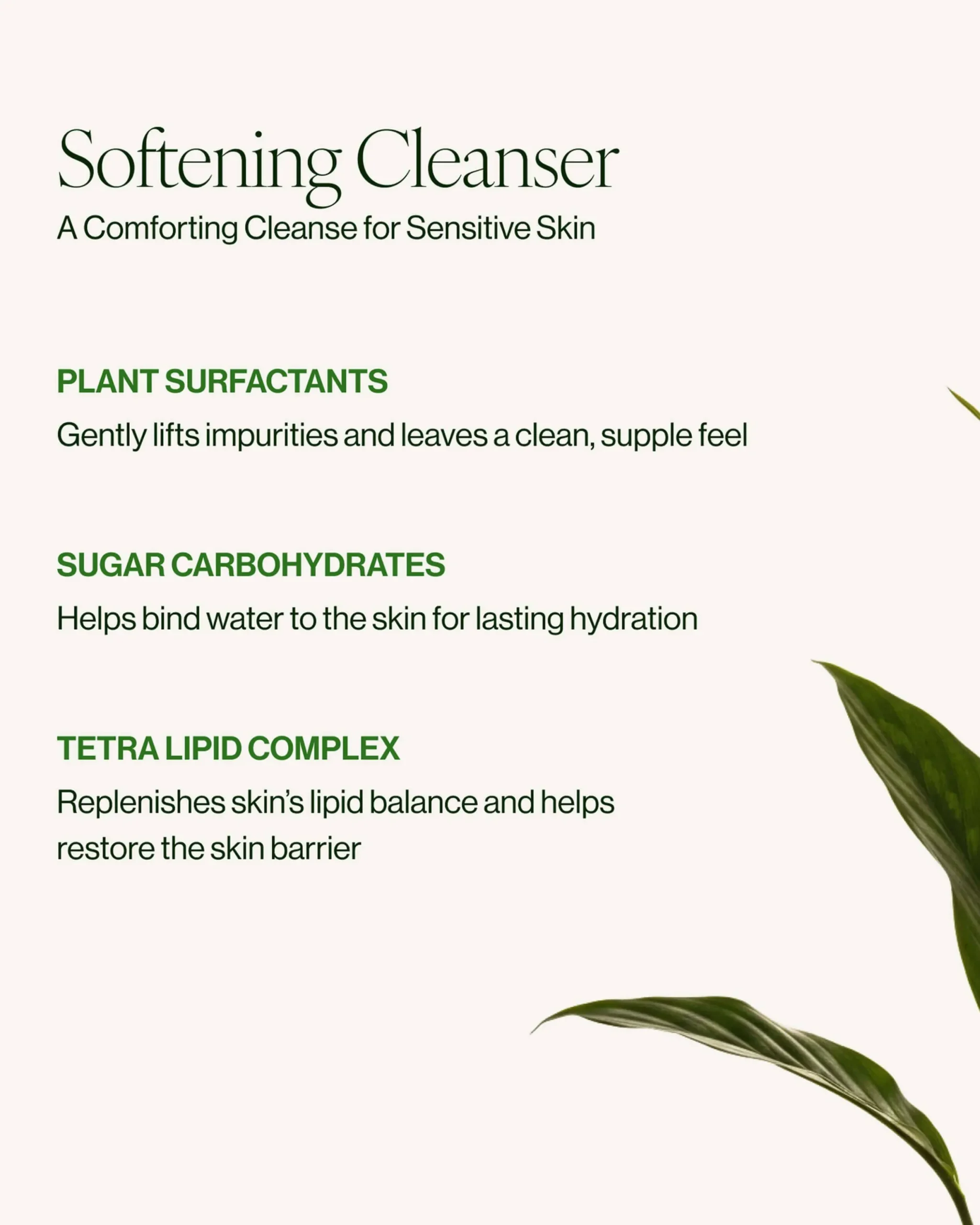 SUPERKIND Softening Cleanser