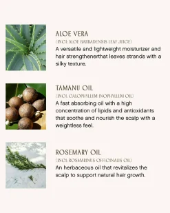 Sweet Spirit Leave In Conditioner