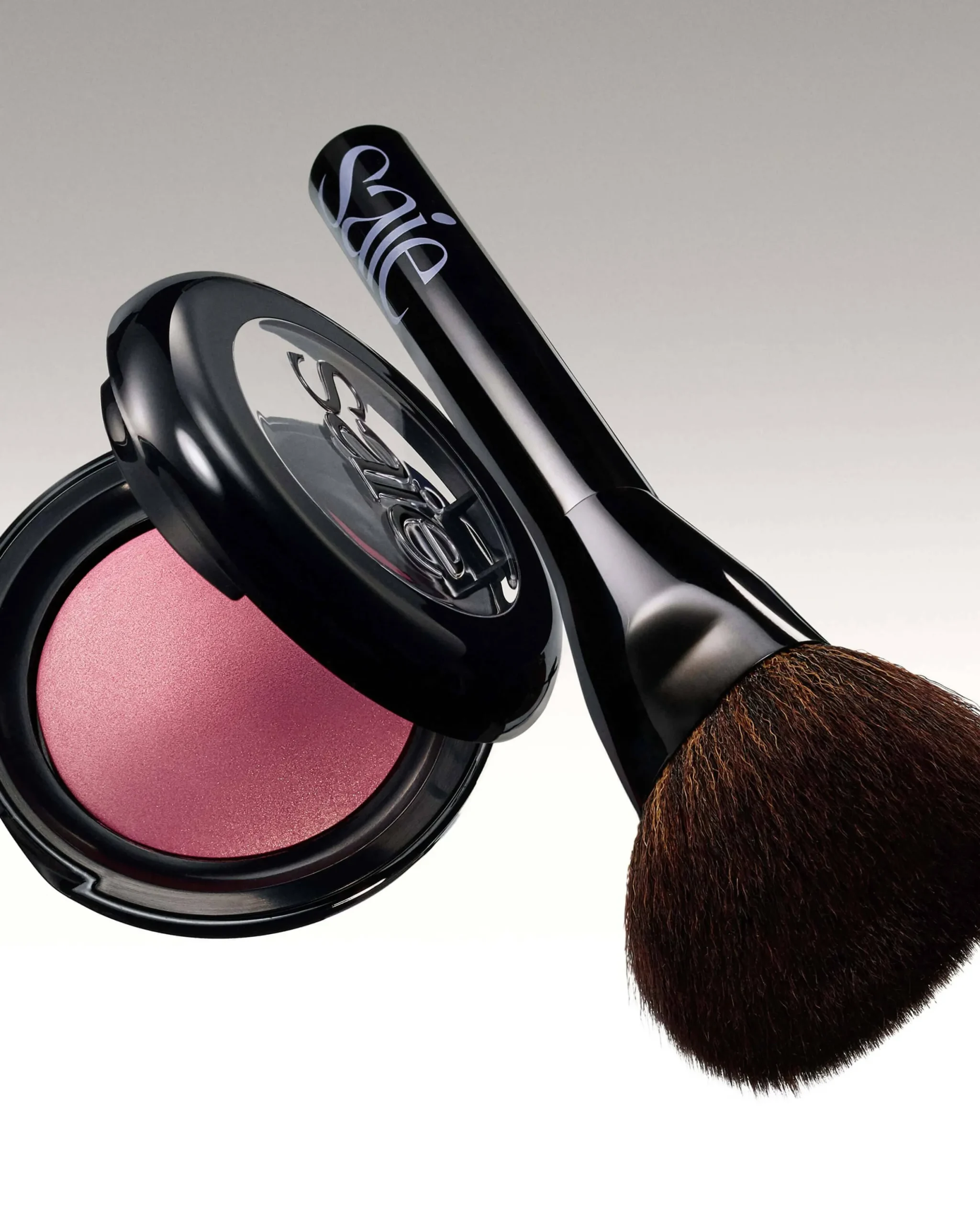 The Powder Blush Brush