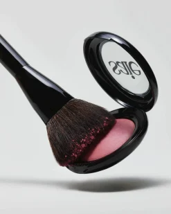 The Powder Blush Brush