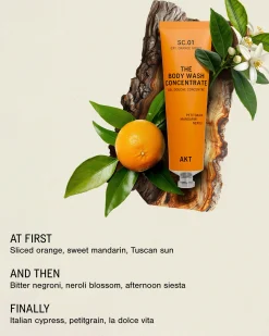 The Body Wash Concentrate SC.01 Orange Grove