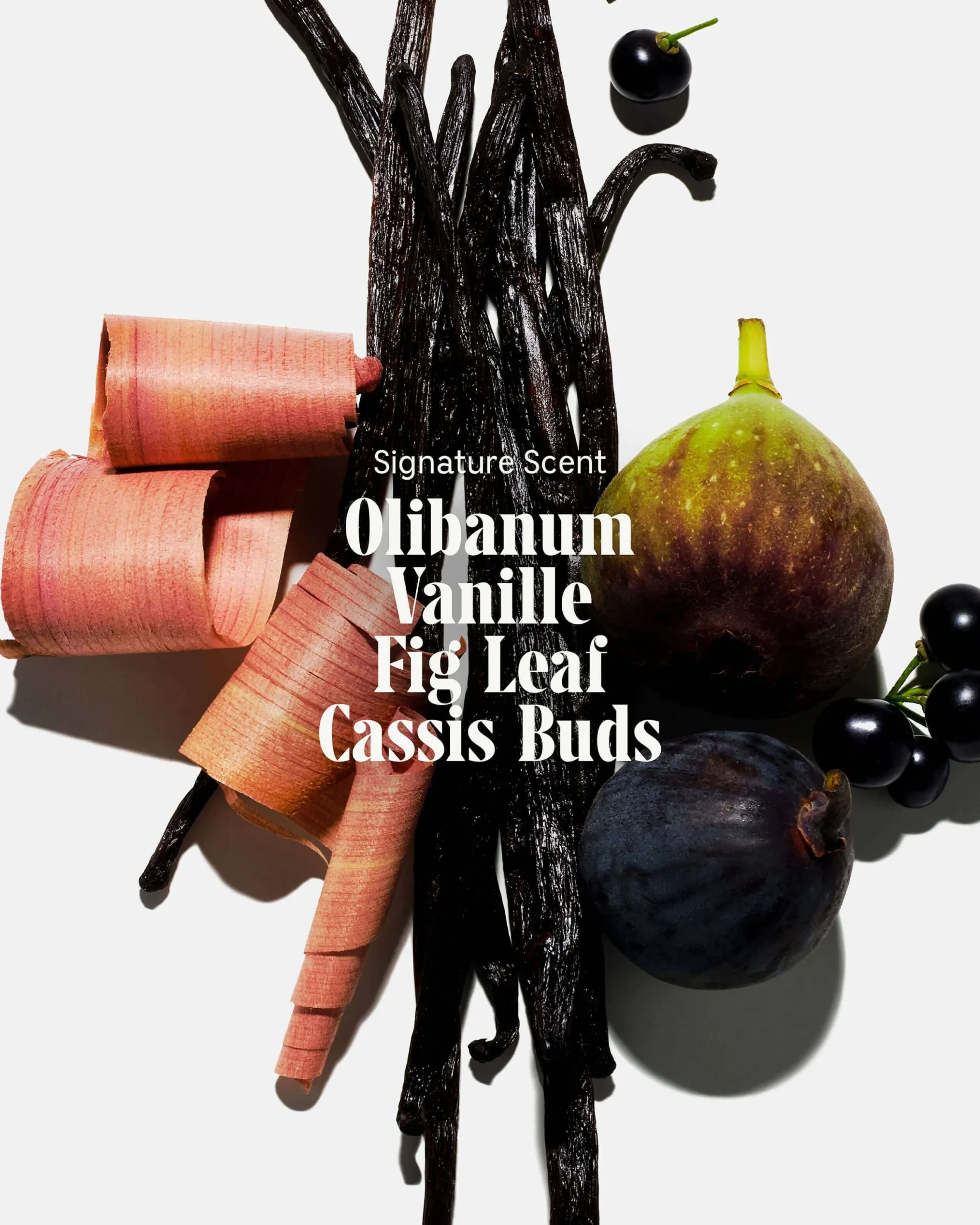 The Body Wash Olibanum
