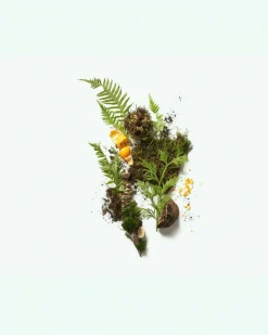 The Botanist Natural Deodorant