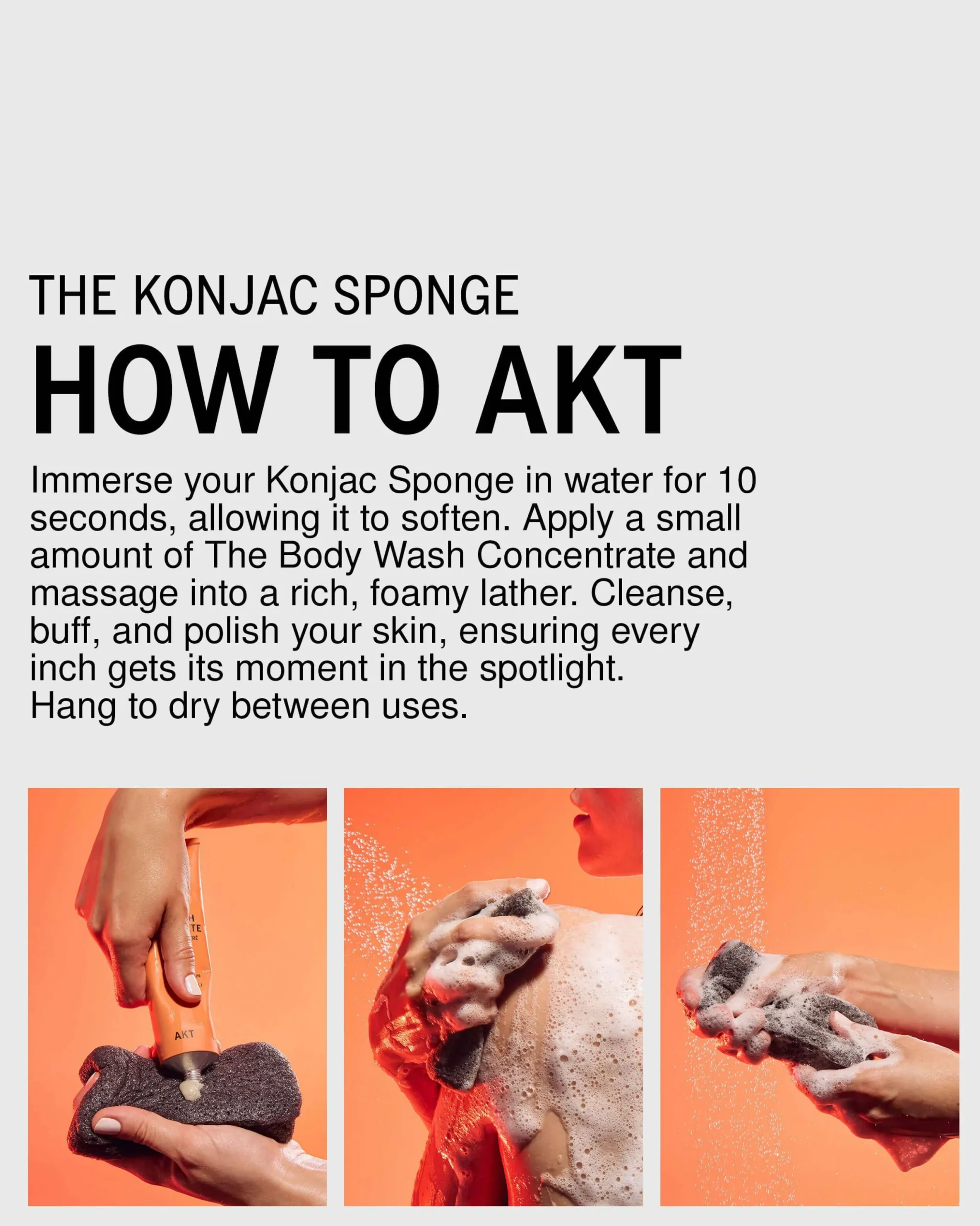 The Konjac Sponge