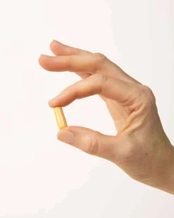 The Pause Nutrition MenoMulti