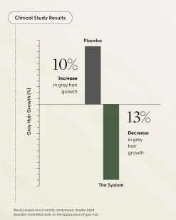 The System