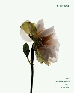Third Rose Deodorant