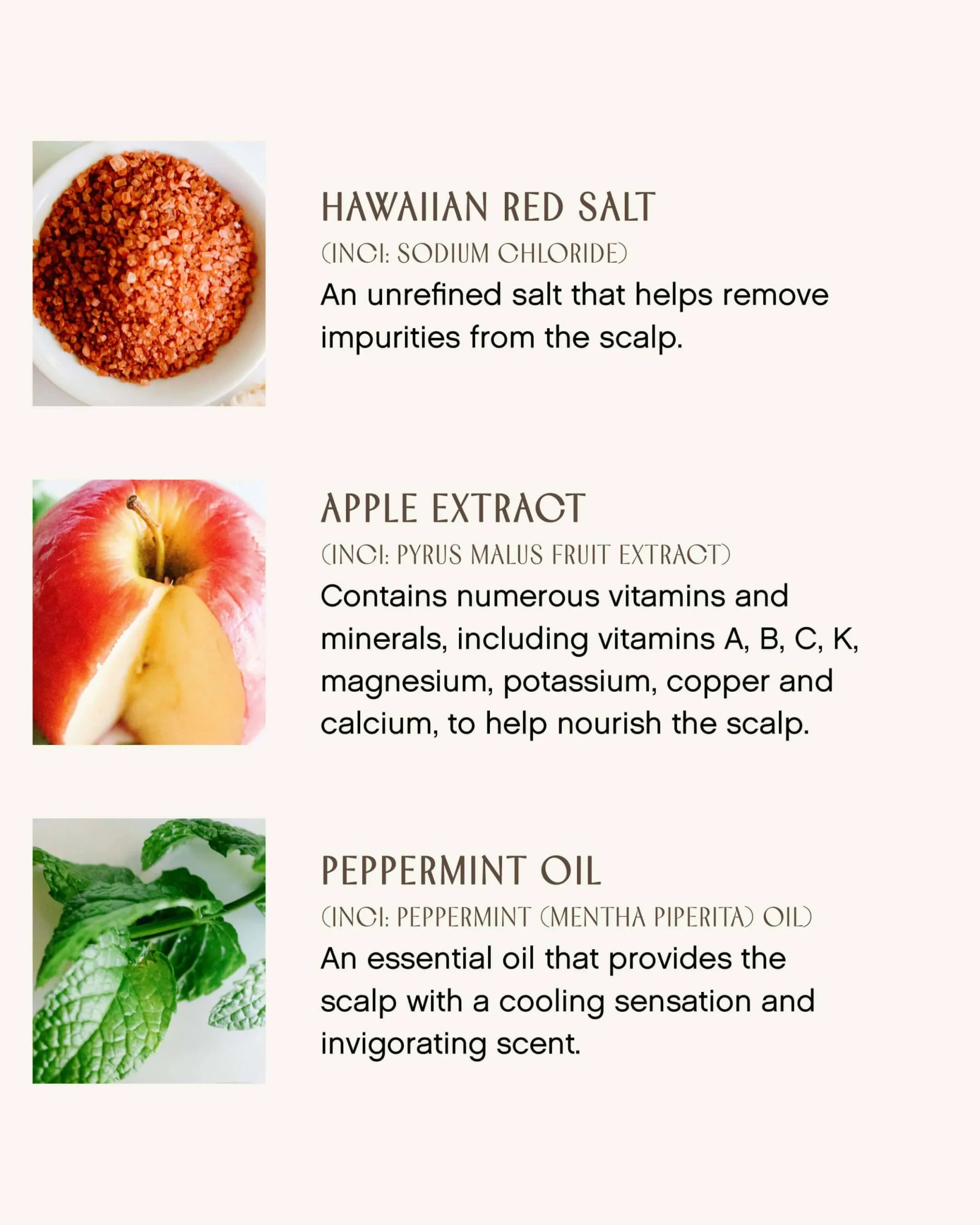 True Enlightenment Scalp Scrub