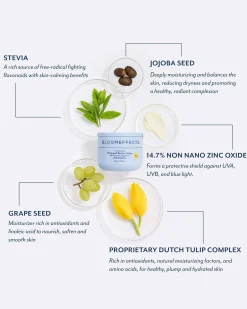 Tulipscreen Whipped Butter Creme SPF 50