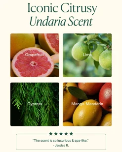 Undaria Algae Body Butter