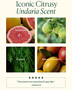 Undaria Algae Body Lotion