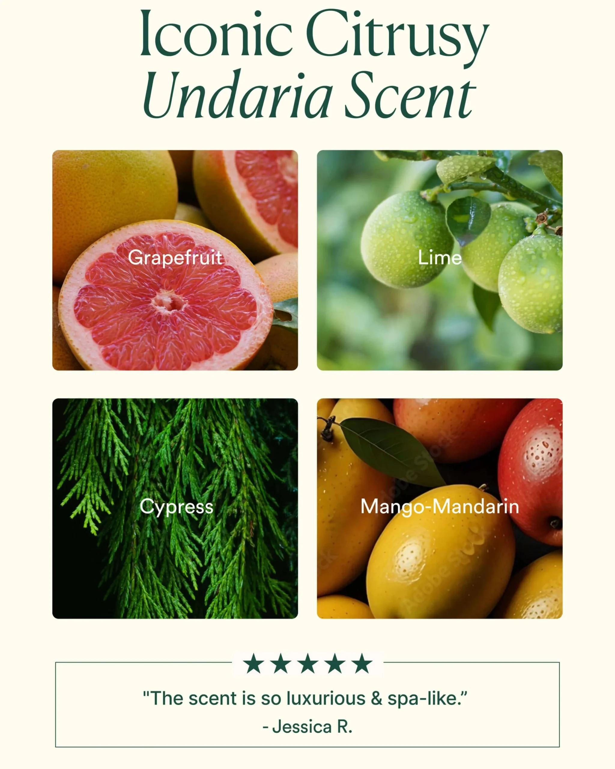 Undaria Algae Body Wash