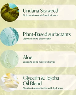 Undaria Algae Body Wash