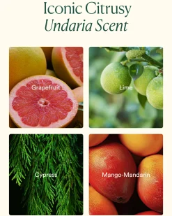 Undaria Body Glow Trio