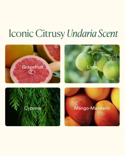 Undaria Cleansing Body Polish