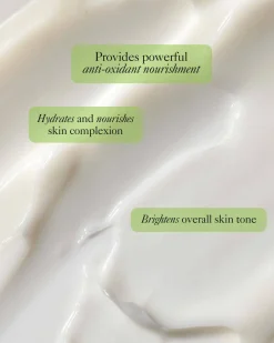 Vital Boost Moisturizer