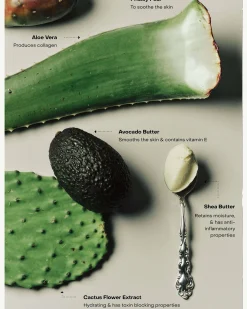 WIRED: The Body Exfoliant