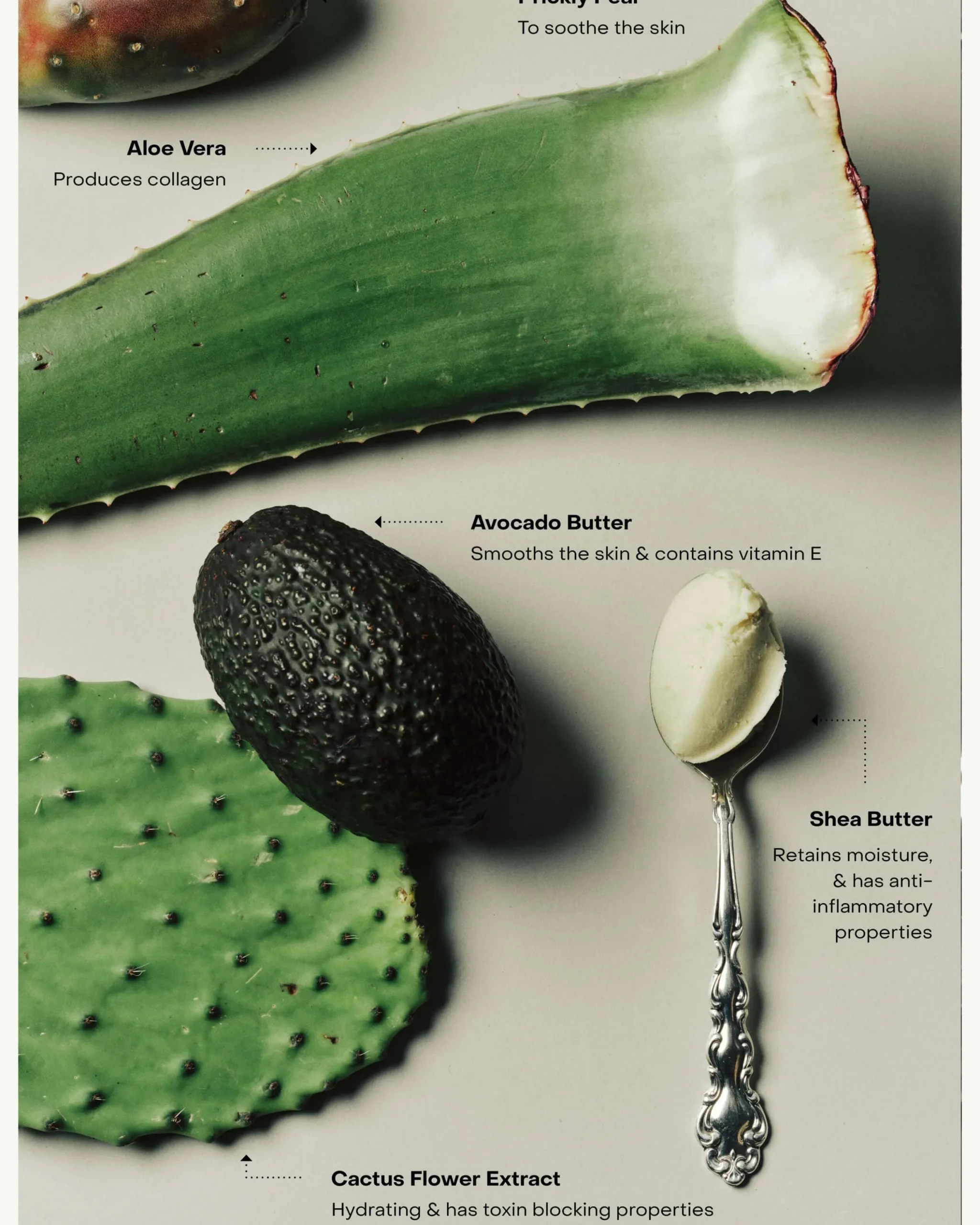 WIRED: The Body Exfoliant